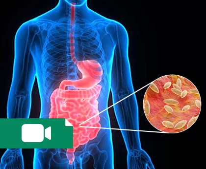 تب مالت، بروسلوز
